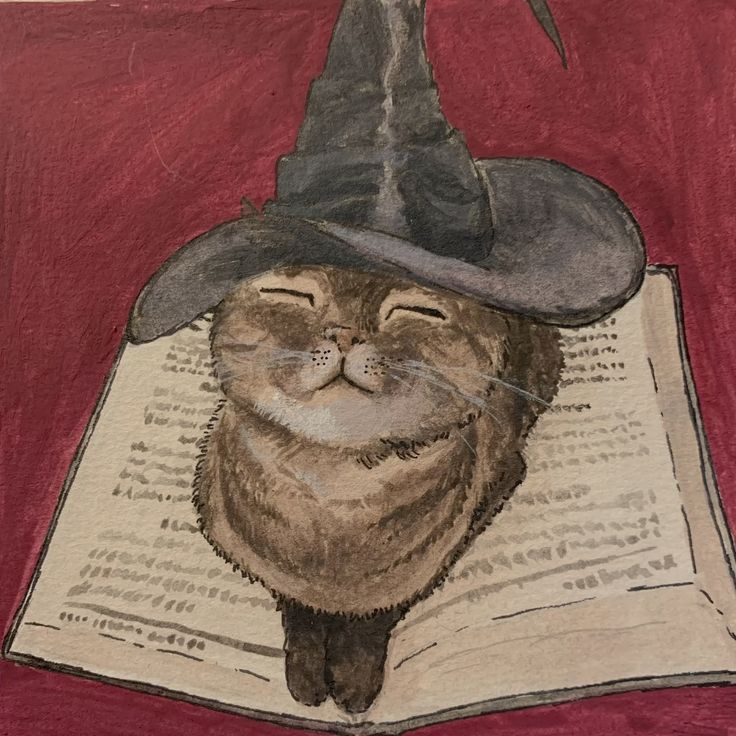 wizard-cat.jpg